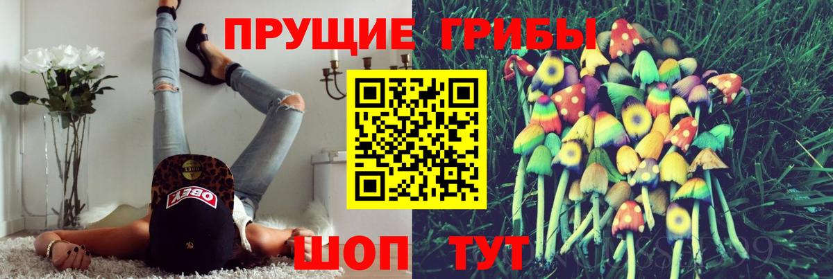Псилоцибиновые грибы мицелий  Псилоцибиновые грибы Psilocybe  Вход с VPN  наркота  Первоуральск 